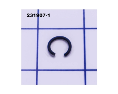 RING SPRING 10MM TW0200 MAK